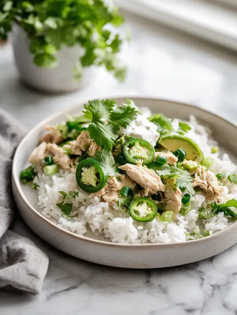 Cozy Serving of Green Rice Burritos