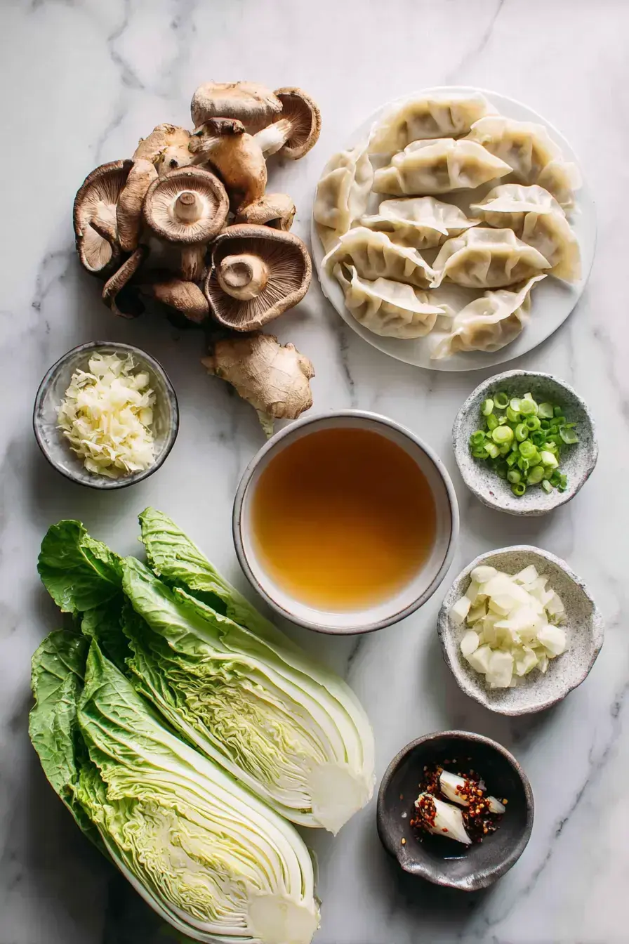 Potsticker Soup ingredients preparation